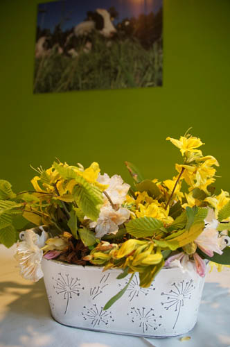Ferienwohnung Kaustall Blumen aus dem Garten