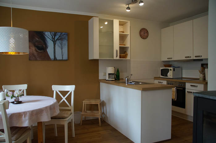 Ferienwohnung Peerstall Küche und Essbereich