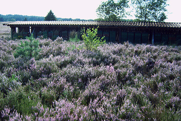 Ferienhof Rademacher - Lüneburger Heide Bienenstock