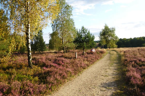 Ferienhof Rademacher - Lüneburger Heide